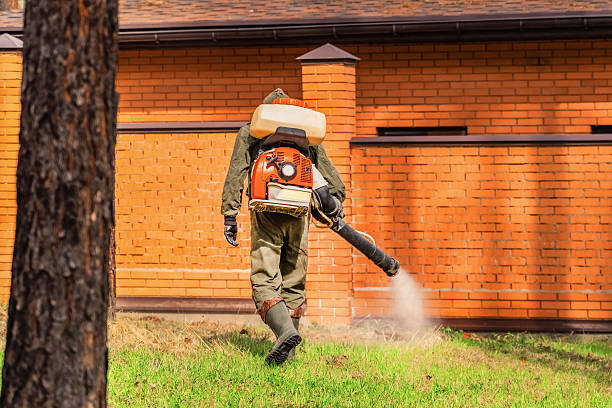 Trusted Termite Control service in North Hudson, WI - Nex Pest Control